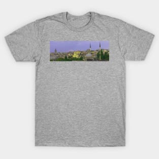 Istanbul from the Bosphorus T-Shirt